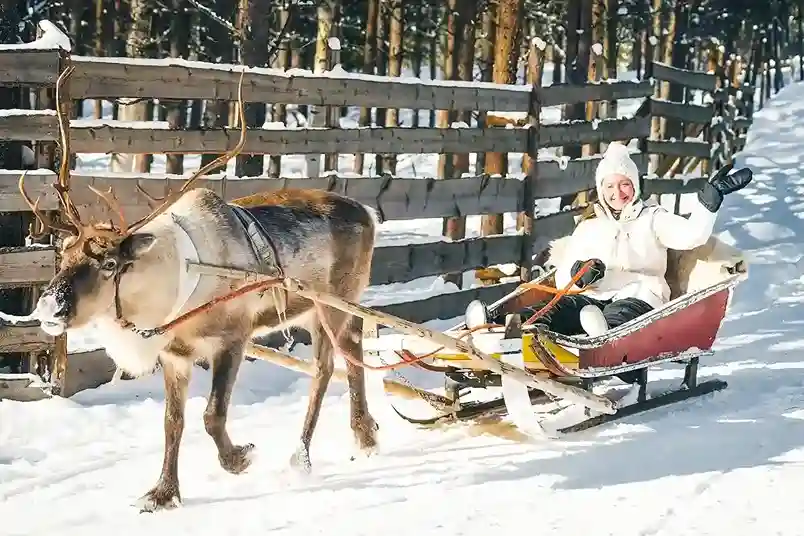 Reindeer Safari