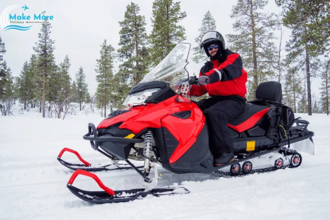 Snowmobile Safari