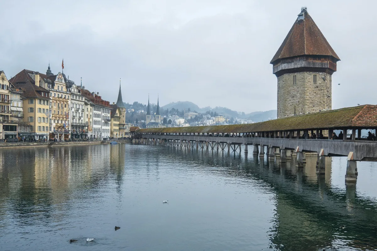 lucerne