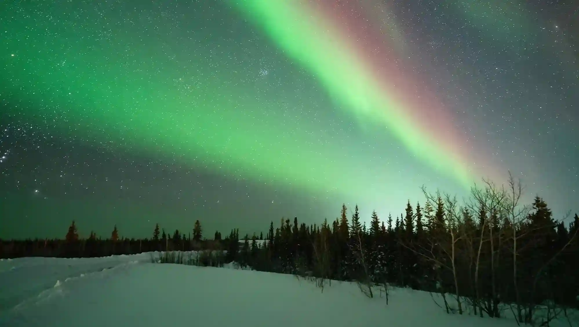 Lapland Northern Lights Adventure
