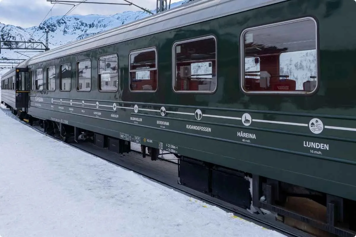 Classic Norway in a Nutshell Tour