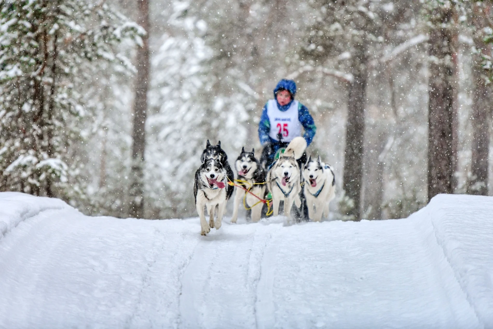 Finland 5N & Norway 4N Adventure