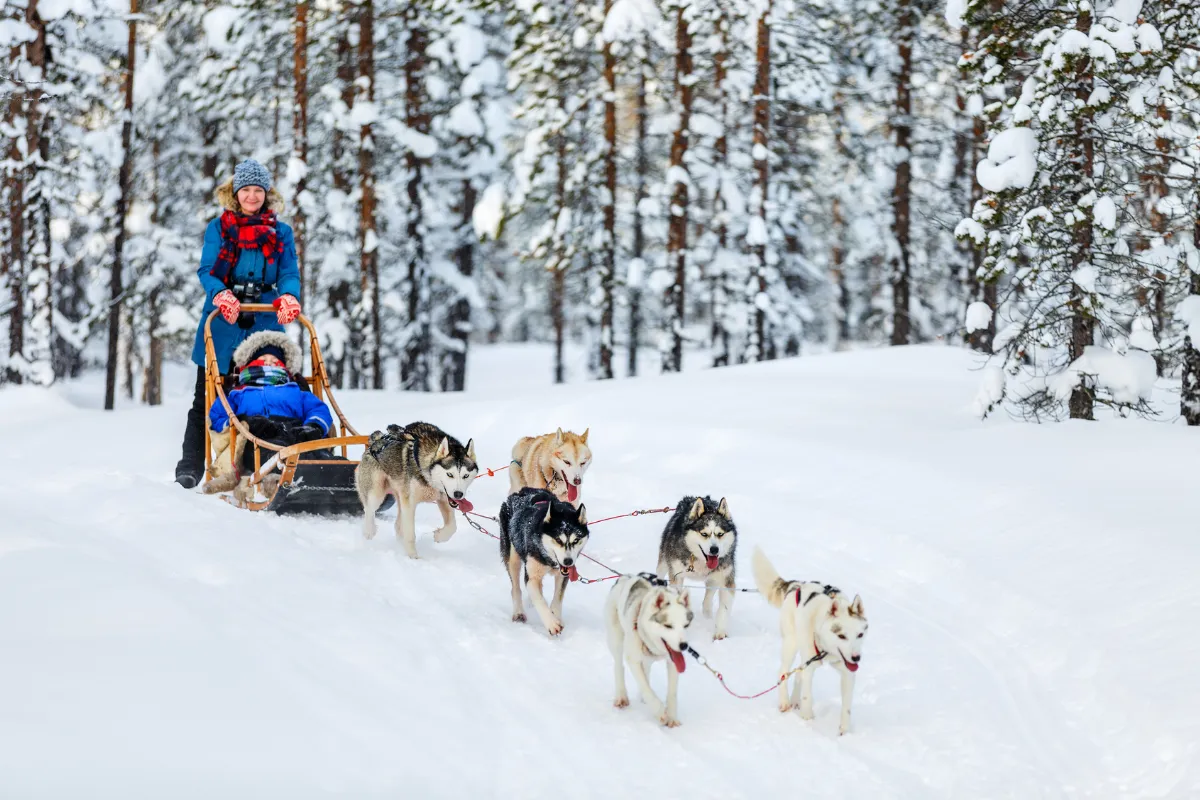 Ultimate Nordic Winter & Glass Igloo