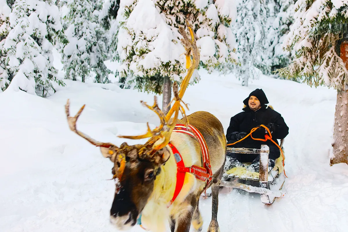 Finland 5N & Norway 4N Adventure
